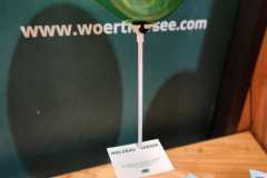 IMG-20240229-WA0013