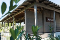 wispelhof-1